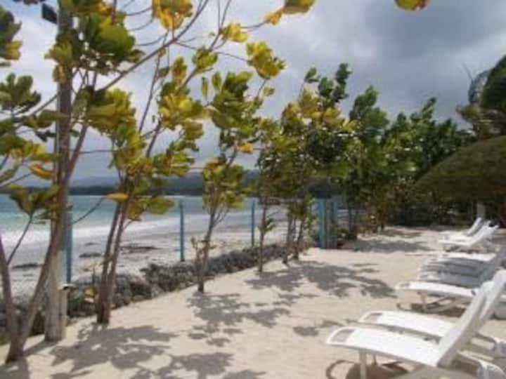 Villa @ The Palms - Ocho Rios Richmond Zewnętrze zdjęcie